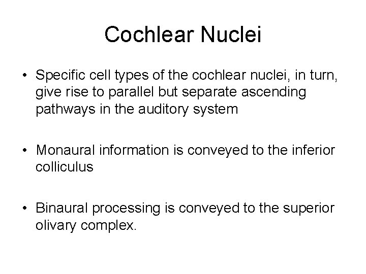 Cochlear Nuclei • Specific cell types of the cochlear nuclei, in turn, give rise Cochlear Nuclei • Specific cell types of the cochlear nuclei, in turn, give rise
