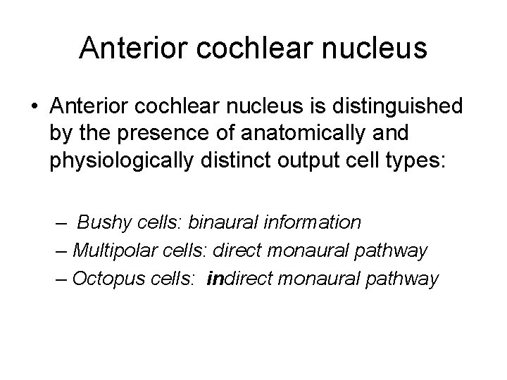 Anterior cochlear nucleus • Anterior cochlear nucleus is distinguished by the presence of anatomically Anterior cochlear nucleus • Anterior cochlear nucleus is distinguished by the presence of anatomically