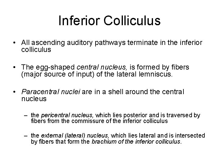Inferior Colliculus • All ascending auditory pathways terminate in the inferior colliculus • The Inferior Colliculus • All ascending auditory pathways terminate in the inferior colliculus • The