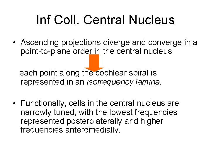 Inf Coll. Central Nucleus • Ascending projections diverge and converge in a point-to-plane order Inf Coll. Central Nucleus • Ascending projections diverge and converge in a point-to-plane order
