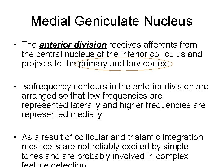 Medial Geniculate Nucleus • The anterior division receives afferents from the central nucleus of Medial Geniculate Nucleus • The anterior division receives afferents from the central nucleus of