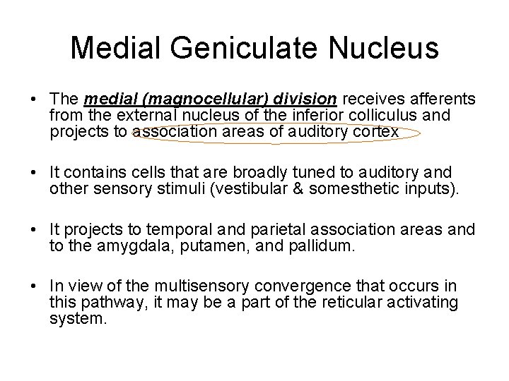 Medial Geniculate Nucleus • The medial (magnocellular) division receives afferents from the external nucleus Medial Geniculate Nucleus • The medial (magnocellular) division receives afferents from the external nucleus
