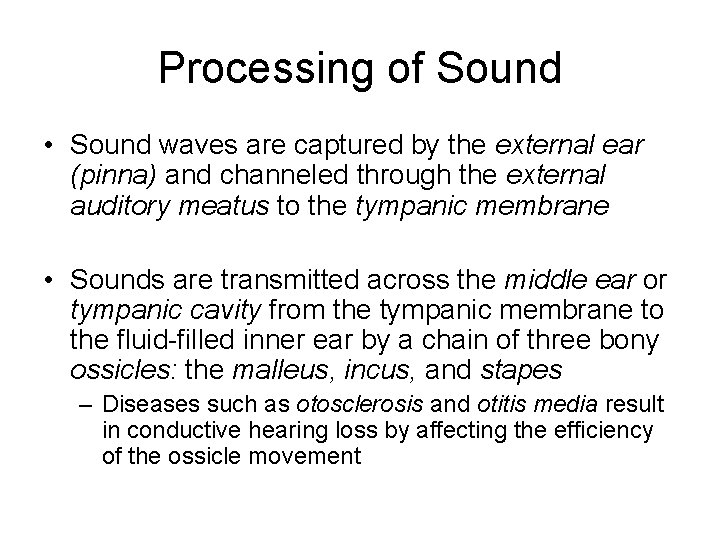 Processing of Sound • Sound waves are captured by the external ear (pinna) and Processing of Sound • Sound waves are captured by the external ear (pinna) and