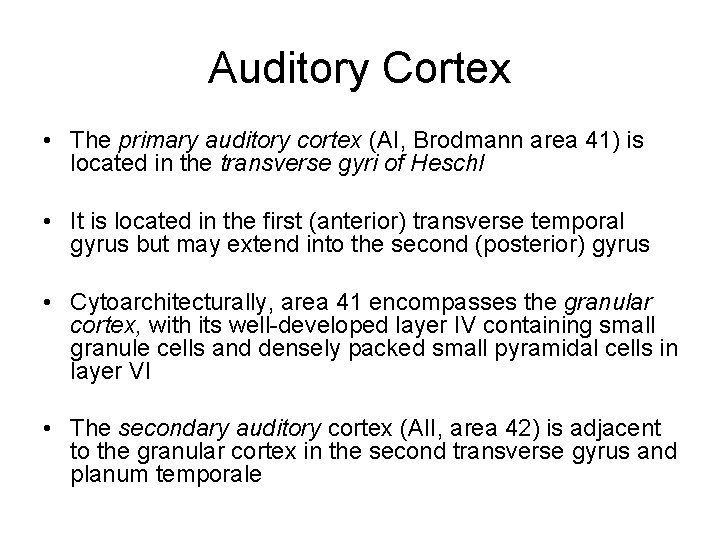 Auditory Cortex • The primary auditory cortex (AI, Brodmann area 41) is located in Auditory Cortex • The primary auditory cortex (AI, Brodmann area 41) is located in