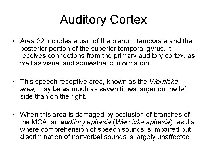Auditory Cortex • Area 22 includes a part of the planum temporale and the Auditory Cortex • Area 22 includes a part of the planum temporale and the