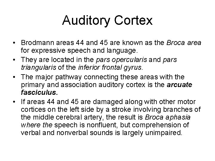 Auditory Cortex • Brodmann areas 44 and 45 are known as the Broca area Auditory Cortex • Brodmann areas 44 and 45 are known as the Broca area