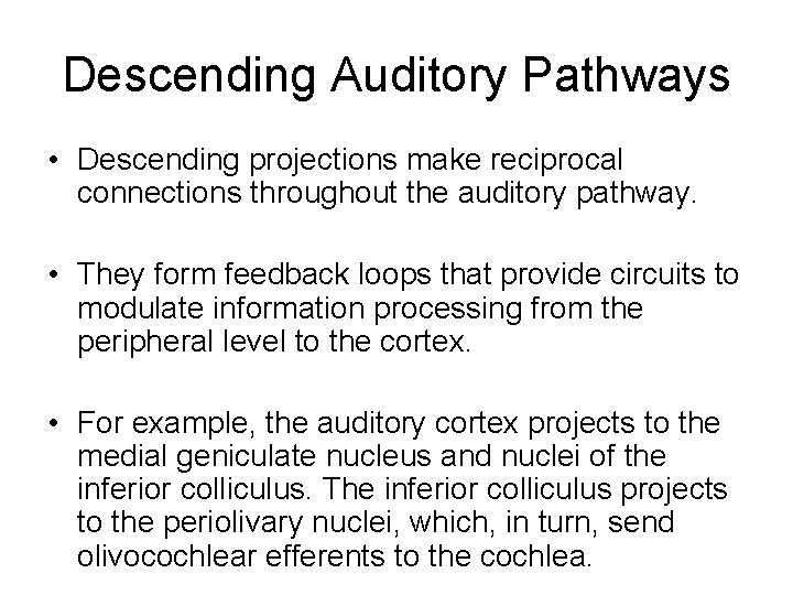 Descending Auditory Pathways • Descending projections make reciprocal connections throughout the auditory pathway. • Descending Auditory Pathways • Descending projections make reciprocal connections throughout the auditory pathway. •
