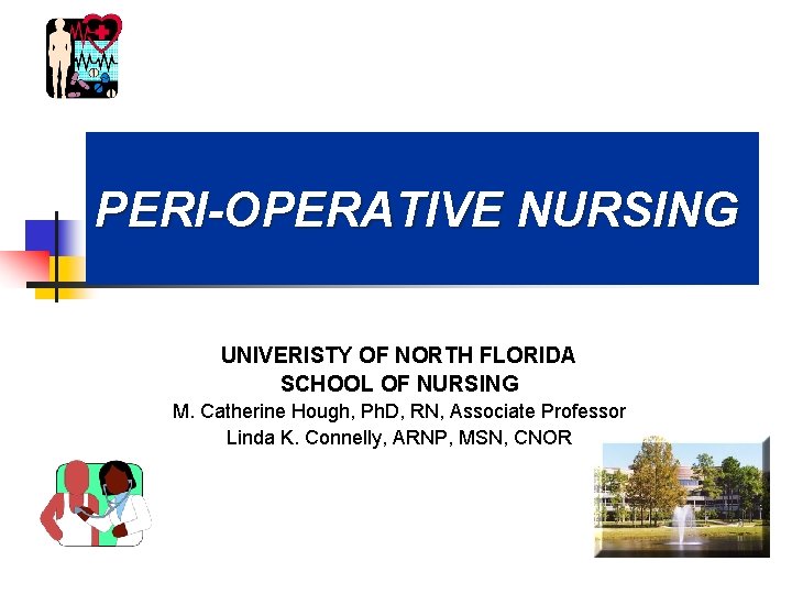 PERI-OPERATIVE NURSING UNIVERISTY OF NORTH FLORIDA SCHOOL OF NURSING M. Catherine Hough, Ph. D,