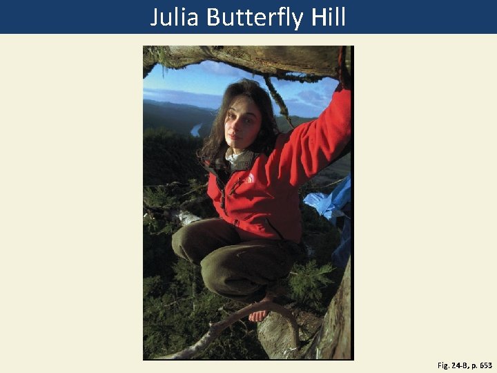 Julia Butterfly Hill Fig. 24 -B, p. 653 