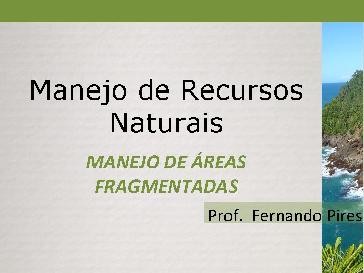 Manejo de Recursos Naturais MANEJO DE ÁREAS FRAGMENTADAS Prof. Fernando Pires 