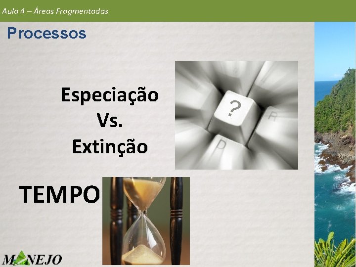 Aula 4 – Áreas Fragmentadas Processos Especiação Vs. Extinção TEMPO 