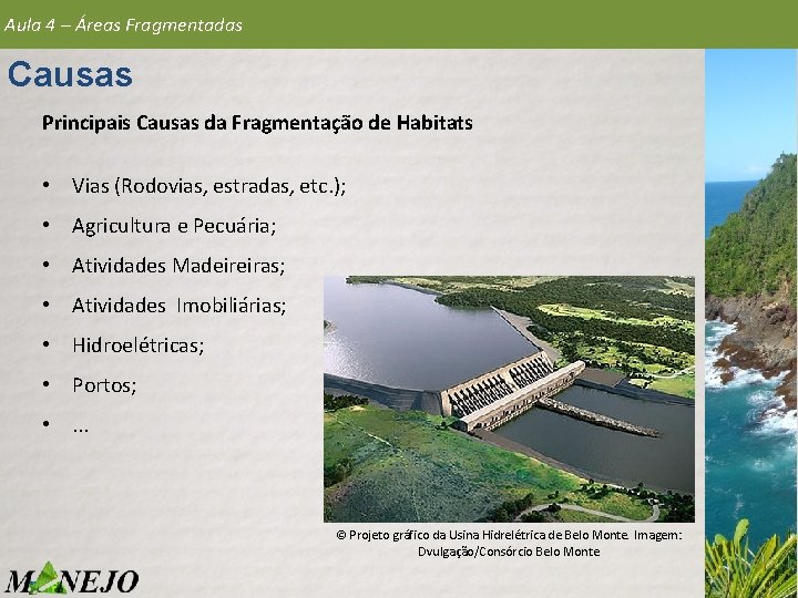 Aula 4 – Áreas Fragmentadas Causas Principais Causas da Fragmentação de Habitats • Vias