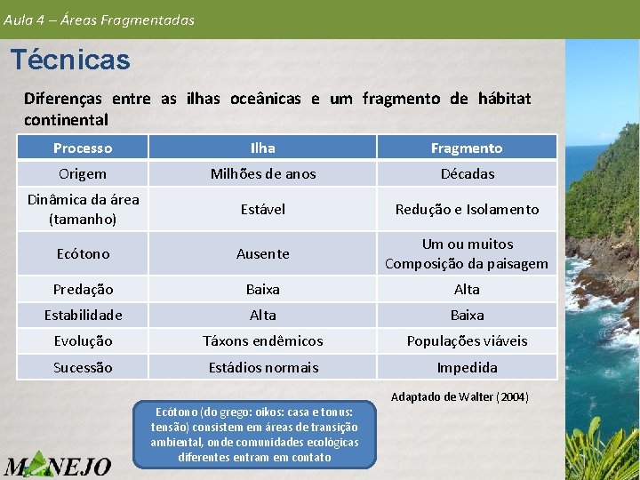 Aula 4 – Áreas Fragmentadas Técnicas Diferenças entre as ilhas oceânicas e um fragmento