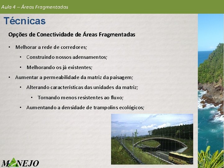 Aula 4 – Áreas Fragmentadas Técnicas Opções de Conectividade de Áreas Fragmentadas • Melhorar