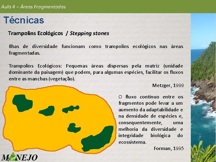 Aula 4 – Áreas Fragmentadas Técnicas Trampolins Ecológicos / Stepping stones Ilhas de diversidade