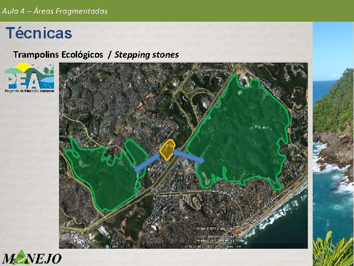 Aula 4 – Áreas Fragmentadas Técnicas Trampolins Ecológicos / Stepping stones 