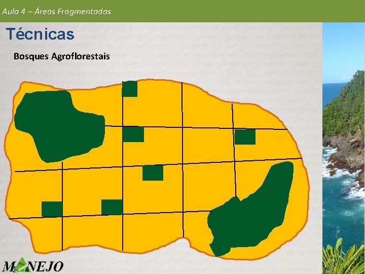 Aula 4 – Áreas Fragmentadas Técnicas Bosques Agroflorestais 