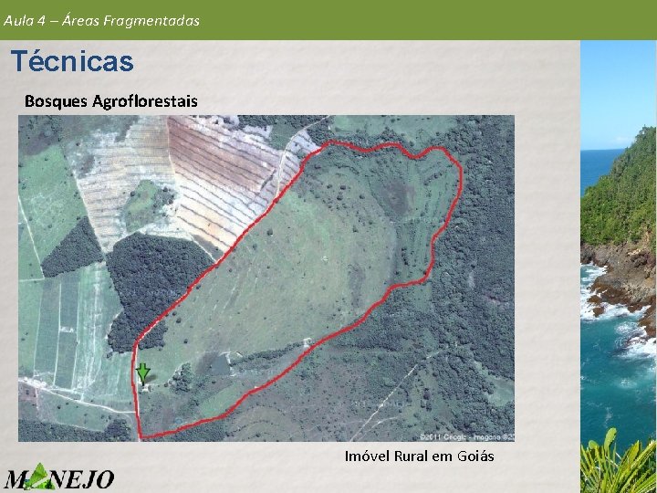 Aula 4 – Áreas Fragmentadas Técnicas Bosques Agroflorestais Imóvel Rural em Goiás 