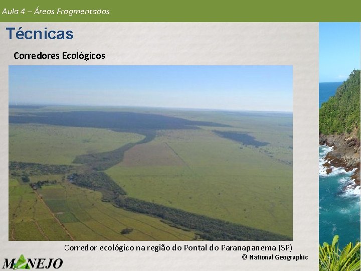 Aula 4 – Áreas Fragmentadas Técnicas Corredores Ecológicos Corredor ecológico na região do Pontal