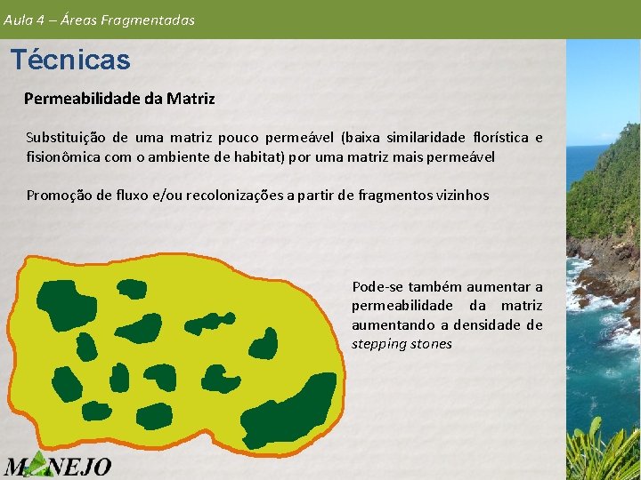 Aula 4 – Áreas Fragmentadas Técnicas Permeabilidade da Matriz Substituição de uma matriz pouco