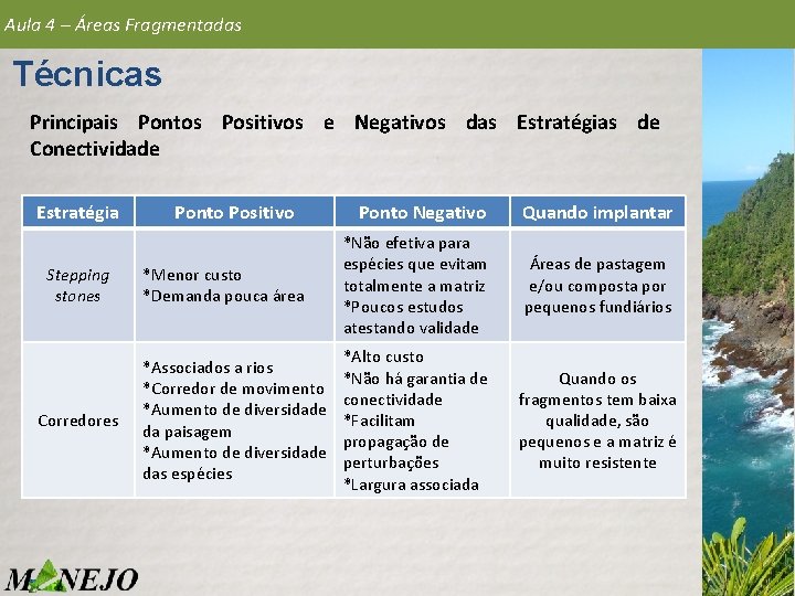 Aula 4 – Áreas Fragmentadas Técnicas Principais Pontos Positivos e Negativos das Estratégias de