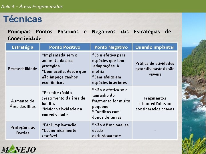 Aula 4 – Áreas Fragmentadas Técnicas Principais Pontos Positivos e Negativos das Estratégias de