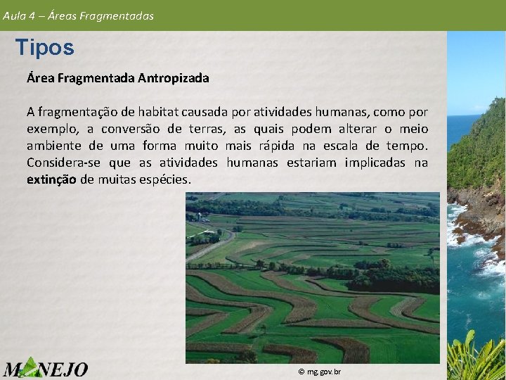 Aula 4 – Áreas Fragmentadas Tipos Área Fragmentada Antropizada A fragmentação de habitat causada