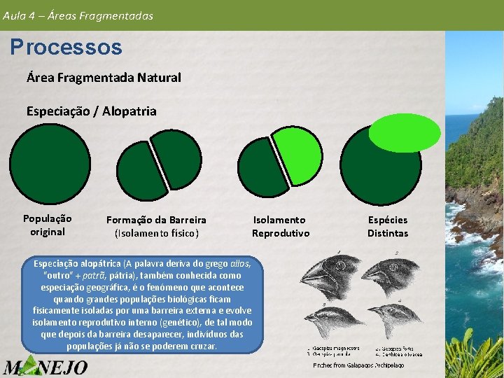 Aula 4 – Áreas Fragmentadas Processos Área Fragmentada Natural Especiação / Alopatria População original