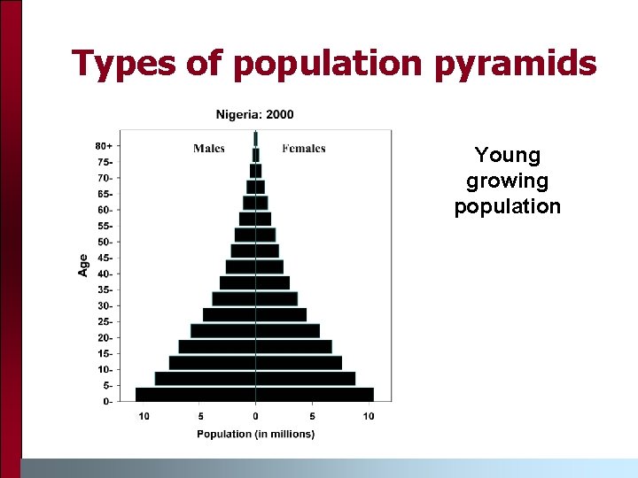 Types of population pyramids Young growing population 