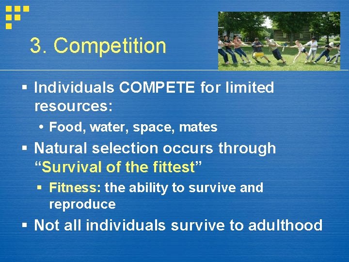 3. Competition Individuals COMPETE for limited resources: Food, water, space, mates Natural selection occurs