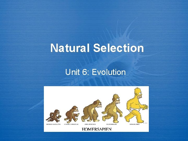 Natural Selection Unit 6: Evolution 