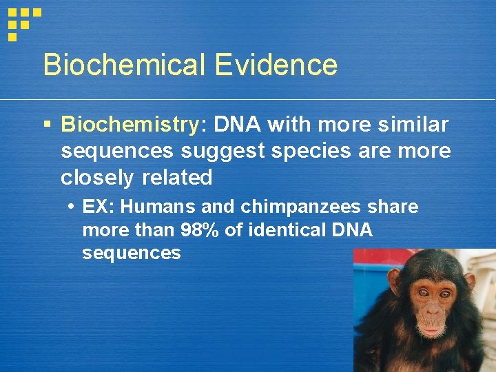 Biochemical Evidence Biochemistry: Biochemistry DNA with more similar sequences suggest species are more closely