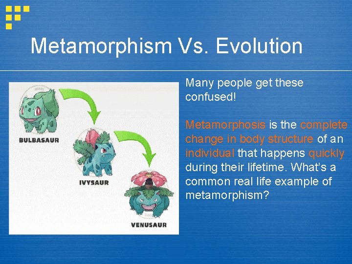 Metamorphism Vs. Evolution Many people get these confused! Metamorphosis is the complete change in