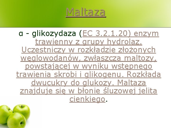 Maltaza α - glikozydaza (EC 3. 2. 1. 20) enzym trawienny z grupy hydrolaz.