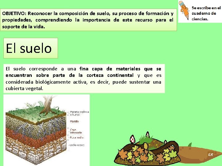 OBJETIVO: Reconocer la composición de suelo, su proceso de formación y propiedades, comprendiendo la