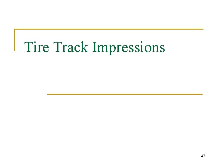 Tire Track Impressions 47 