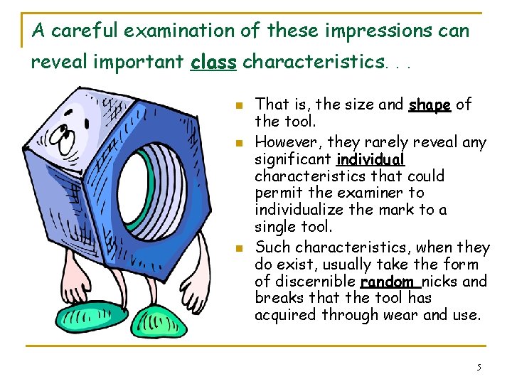 A careful examination of these impressions can reveal important class characteristics. . . n