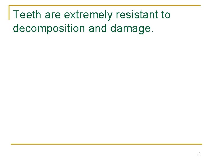 Teeth are extremely resistant to decomposition and damage. 85 