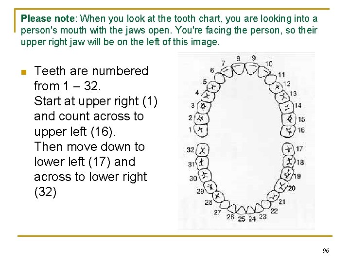 Please note: When you look at the tooth chart, you are looking into a