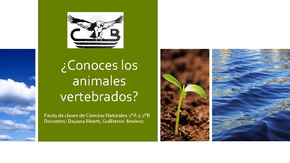 ¿Conoces los animales vertebrados? Pauta de clases de Ciencias Naturales 2°A y 2°B Docentes: