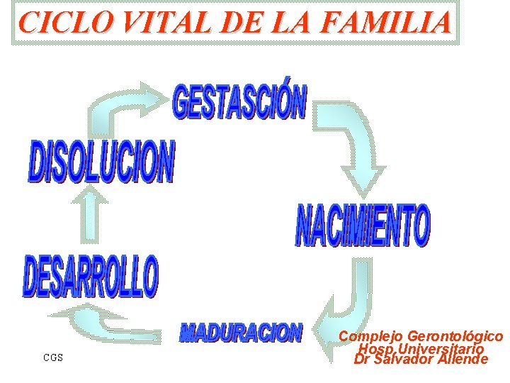 CICLO VITAL DE LA FAMILIA CGS Complejo Gerontológico Hosp. Universitario Dr Salvador Allende 