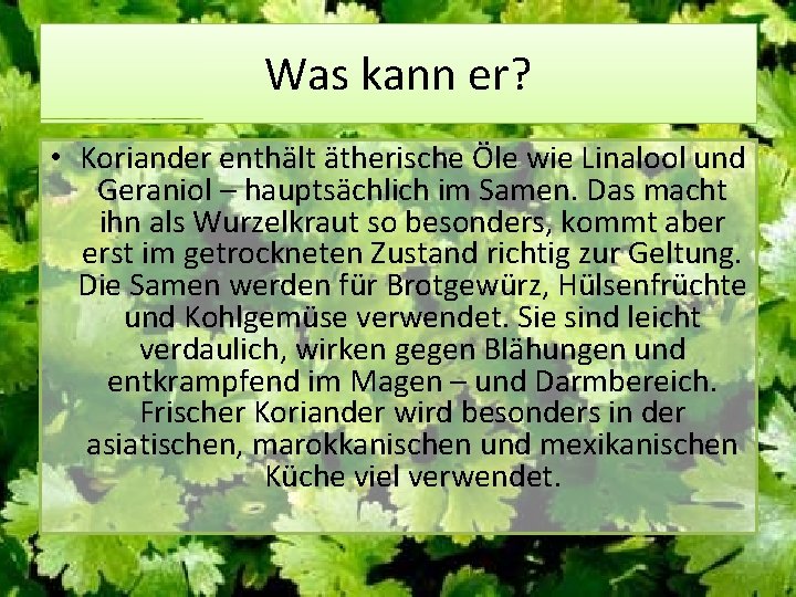 Was kann er? • Koriander enthält ätherische Öle wie Linalool und Geraniol – hauptsächlich