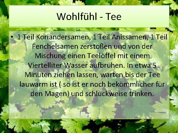 Wohlfühl - Tee • 1 Teil Koriandersamen, 1 Teil Anissamen, 1 Teil Fenchelsamen zerstoßen