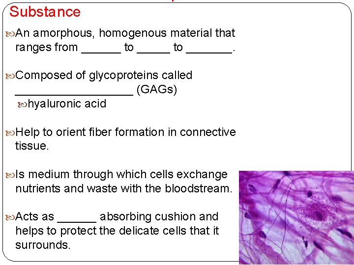Substance An amorphous, homogenous material that ranges from ______ to _______. Composed of glycoproteins