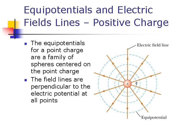 Equipotentials and Electric Fields Lines – Positive Charge n n The equipotentials for a