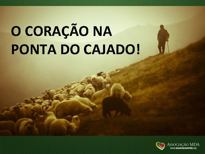 O CORAÇÃO NA PONTA DO CAJADO! 