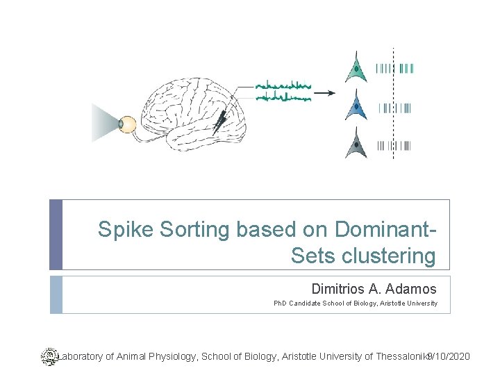 Spike Sorting based on Dominant. Sets clustering Dimitrios A. Adamos Ph. D Candidate School
