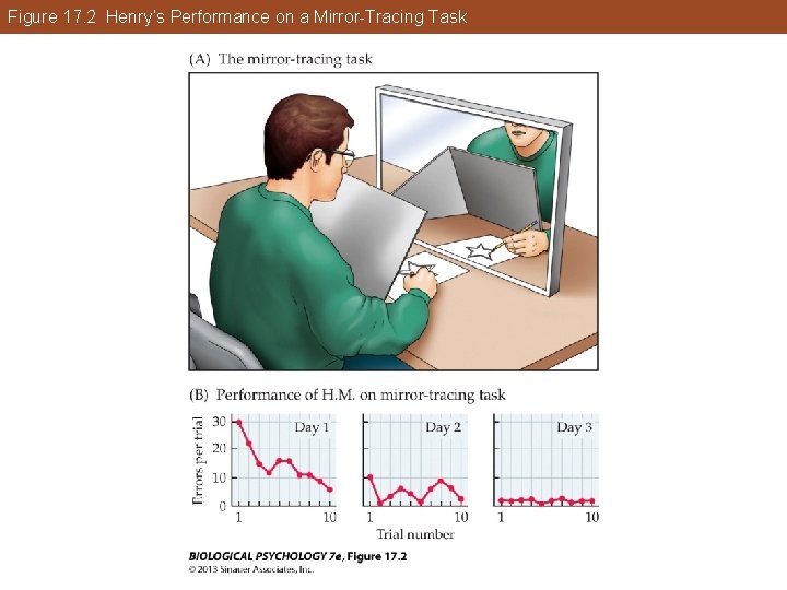 Figure 17. 2 Henry’s Performance on a Mirror-Tracing Task Figure 17. 2 Henry’s Performance on a Mirror-Tracing Task