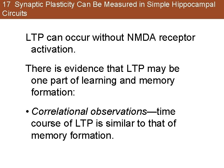 17 Synaptic Plasticity Can Be Measured in Simple Hippocampal Circuits LTP can occur without 17 Synaptic Plasticity Can Be Measured in Simple Hippocampal Circuits LTP can occur without