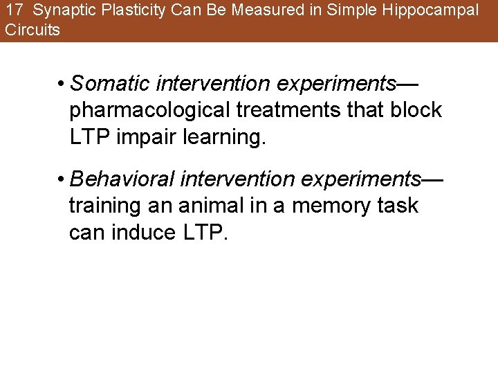 17 Synaptic Plasticity Can Be Measured in Simple Hippocampal Circuits • Somatic intervention experiments— 17 Synaptic Plasticity Can Be Measured in Simple Hippocampal Circuits • Somatic intervention experiments—